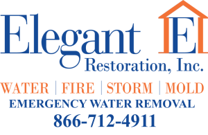Elegant Restoration Logo with Clear Background